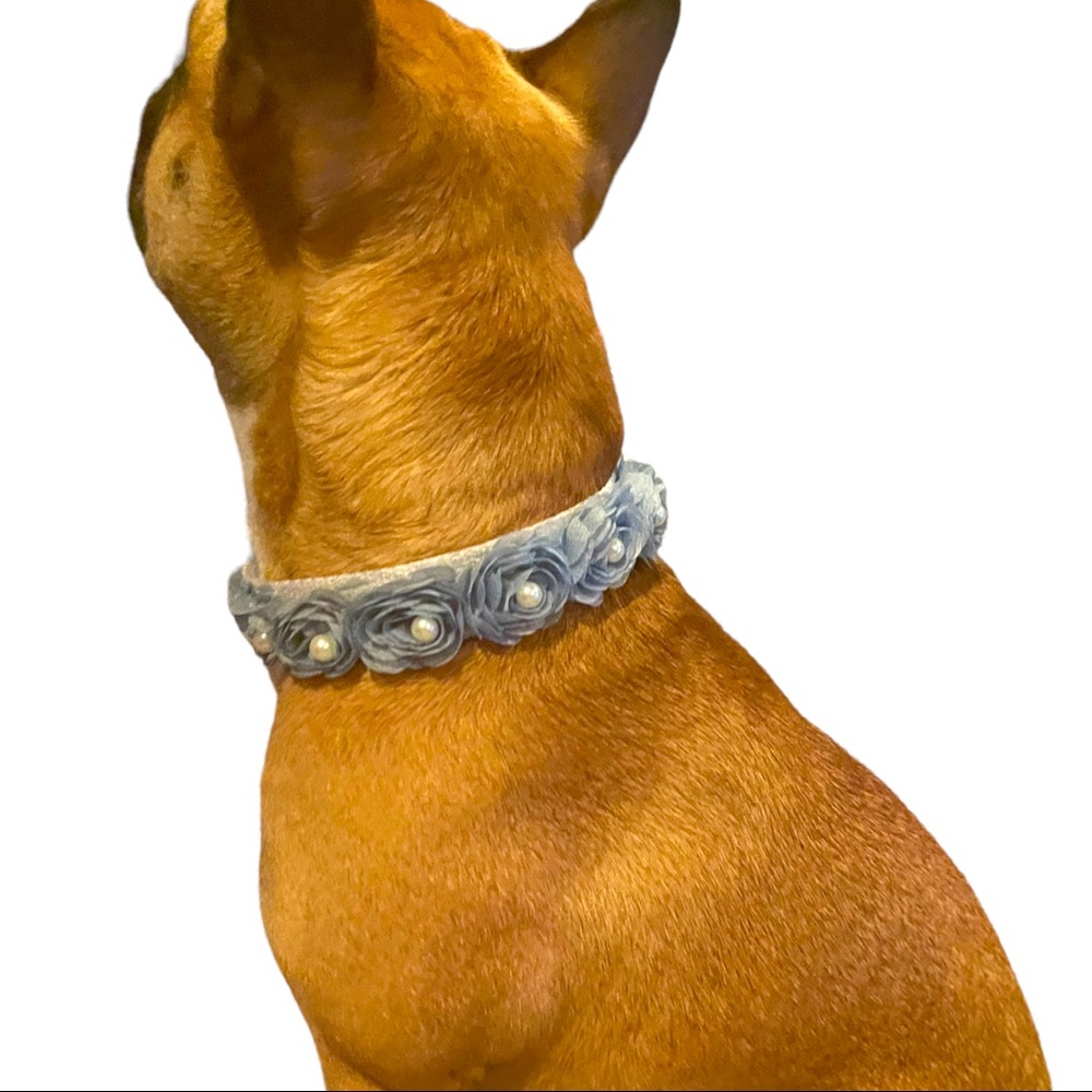 Springtime Blues floral chiffon collar